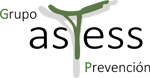 Grupo Astess